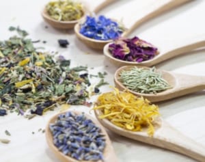 不眠や更年期障害にも効果…冬こそドライハーブを始める好機