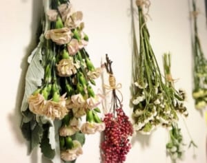 飾りながら1週間置くだけ！リースでドライハーブのすすめ