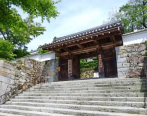 初詣でを機に覚えておこう！「生まれ年で決まる8尊の守護仏」