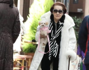 細木数子“終の棲家”が完成 背景に「寿命は来年」の大胆予言