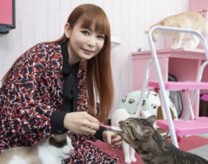 殺処分ゼロ願う中川翔子「保護猫カフェで猫と出会いを！」