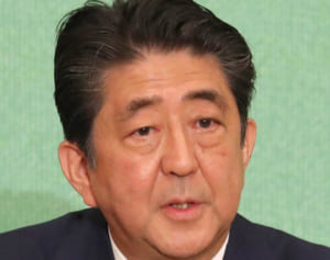 辺野古埋め立て　首相が「あそこのサンゴは移植」と発言したが…実際は土砂投入海域の移植はゼロ