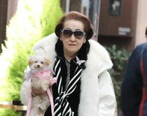 細木数子 表舞台から引退へ…動き出した後継者は美魔女ママ！