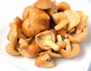 きのこは免疫、根菜は疲労回復…“ねばねば成分”の効能たち