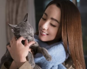 沢尻エリカが6年ぶり主演映画はイケメン俳優が“飼い猫”に