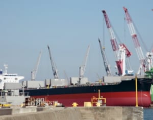 外食で生卵が消える!?TPPで成長ホルモン肉、除草剤野菜が上陸