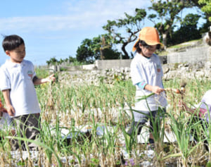 産廃処理業者が「優しい農業」を実践する理由は？　エークリエイト沖縄が野菜収穫祭