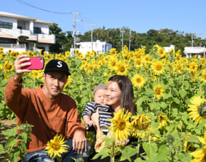 太陽の花、笑顔と咲く　きょう「立春」　県内各地で夏日
