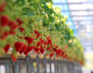 全国に点在する嵐の聖地 来訪者800倍になったスポットも