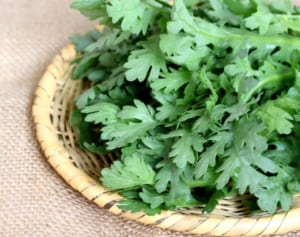 麻木久仁子勧める胃腸に優しい「春菊ペースト」活用調理術