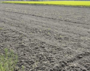 原発事故から8年…数値が物語る日本「放射能」汚染の実態