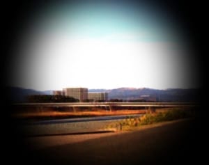 自覚症状でわかる“目の病気リスク”「白内障＆緑内障」篇