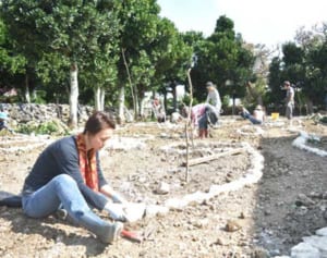 「食べられる庭園」整備へ　石垣、ハーブや島野菜を無農薬栽培