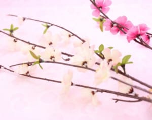 立春から幸運の1年をはじめるための「春財布」新調のススメ