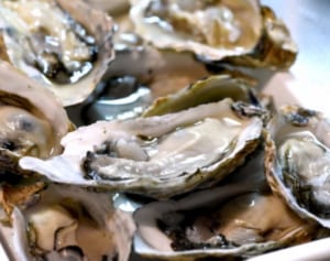 イライラを防ぐにはマグネシウムも必要！俗説を栄養学で検討