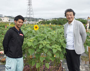 「はるかのひまわり」沖縄・北中城で咲く命の尊さ伝え、新たな絆を