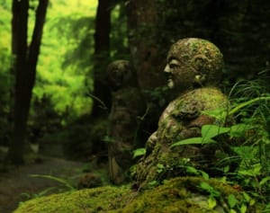 瞑想を西洋流に再構築「マインドフルネス」で更年期障害を軽く