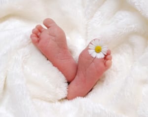 61歳の米女性、同性婚した息子のために孫を出産