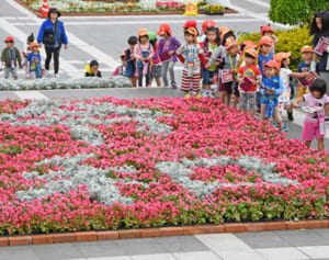 美ら海水族館に行ったらここにも寄りたい　「令和」の花文字、鮮やかに　海洋博公園