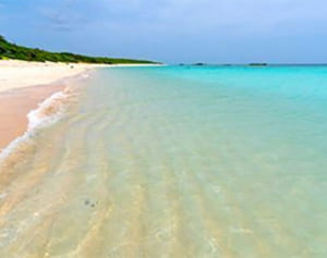 波照間島でジュゴン2頭の目撃情報　環境省調査へ