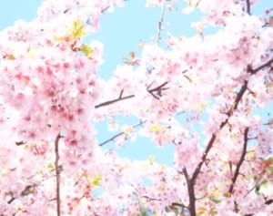 上野千鶴子の東大祝辞が「意義深い」と話題、トレンド入りも