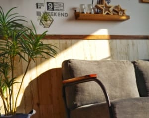 英国の医学誌が話題「“座ってテレビ”が大腸がんに」は本当か