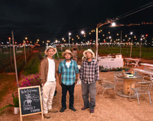 夜の農園 楽しんで　「キクミネーション」輝く　沖縄・読谷