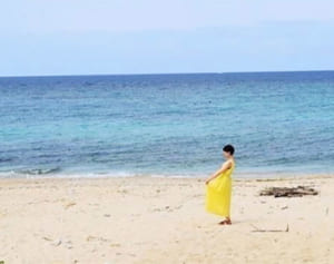 布に自然を染めあげ沖縄の風まとう ー 本村ひろみの時代のアイコン ー おもて ゆきさん