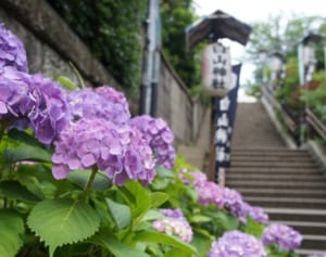 大嘗祭の前に参拝したい「白山神社」が令和にもたらす効果
