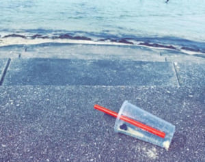 ごみ拾いでインスタ映え　海ごみゼロアワード「リテラーティ・ジャパン」環境大臣賞