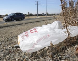 恥ずかしい思いをするよりは……　レジ袋削減の秘策が話題