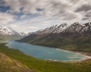 自称大富豪が9.7億円で殺人を依頼 18歳女子が親友を殺害