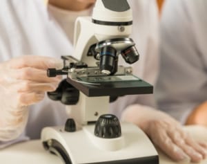 藤田紘一郎先生解説！長寿の秘密はミトコンドリアエンジン