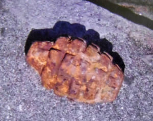 沖縄で小中生が不発弾投げて遊ぶ　保護者が通報、自衛隊が回収