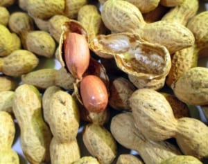 女性にうれしい効果だらけ！最強食材「ピーナッツ」選び方
