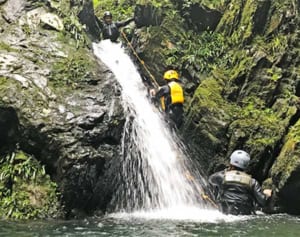 こんな沖縄観光はいかが？　亜熱帯の森で滝つぼ遊び、沢歩き　東村・少人数のエコツアー