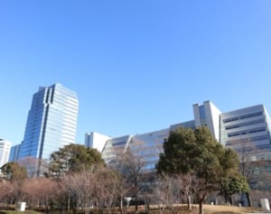 選挙直後に年金データ紛失を発表！政府に監督責任を問う声も