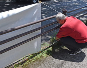 街に氾濫する違法掲示物　参院選関連　那覇市がパトロール
