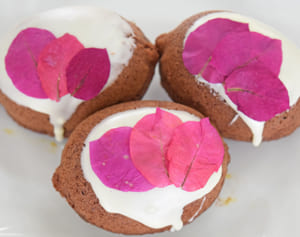 ブーゲンビレアはスーパーフード　沖縄の高校生がレシピ開発に情熱　ピンクの花びらは高い抗酸化作用