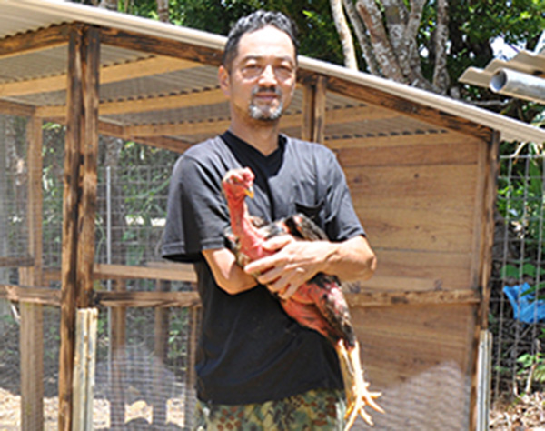 袋に何十羽も詰められ、捨てられ…「傷ついた闘鶏を助けたい」　沖縄・東村の男性が保護