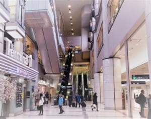 帰省資金は「旅行積立」で貯める、航空会社「年利3％」魅力に