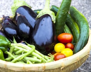 きゅうり、なすは2倍……野菜価格高騰は8月に入っても続く