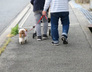 転倒リスクは認知症リスクに“足の衰え”について知ろう