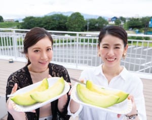 ゴロっと大玉メロン狩り！静岡バスツアーが充実しすぎ