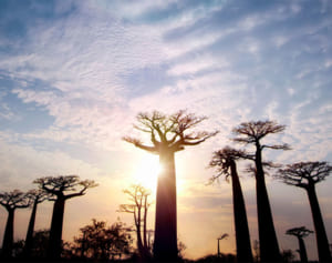 ケンブリッジ大の女子学生、小型飛行機から飛び降り死亡