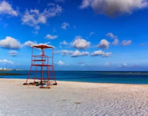 「安室奈美恵の日」制定で　期待される音楽界の盛り上がり