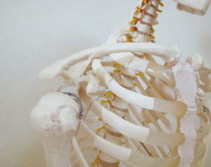 むくみ、便秘や下痢にも！「鎖骨つまみ」で不調を乗り切る