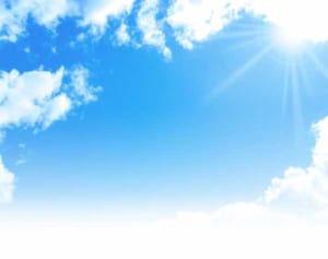 荒汐部屋の愛猫「ムギ」が死去…福轟力の引退目前に天国へ