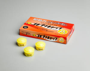 秋口に家に押し寄せるゴキブリ…新聞受けも“侵入口”に