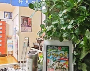 東京で沖縄・名護の魅力発信　シークヮーサー湯を提供